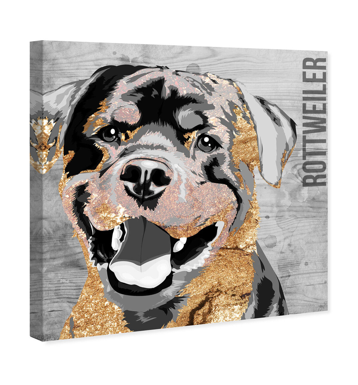 40x40/Canvas/XHD
