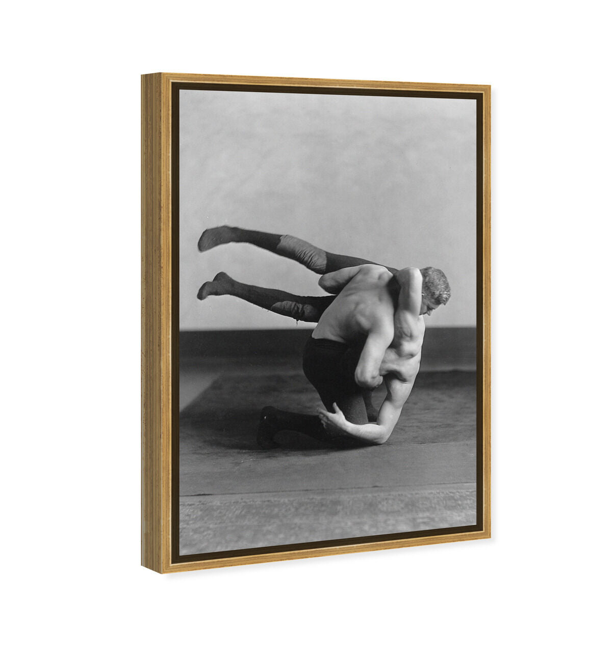 36x54/Framed Canvas/PSGLD
