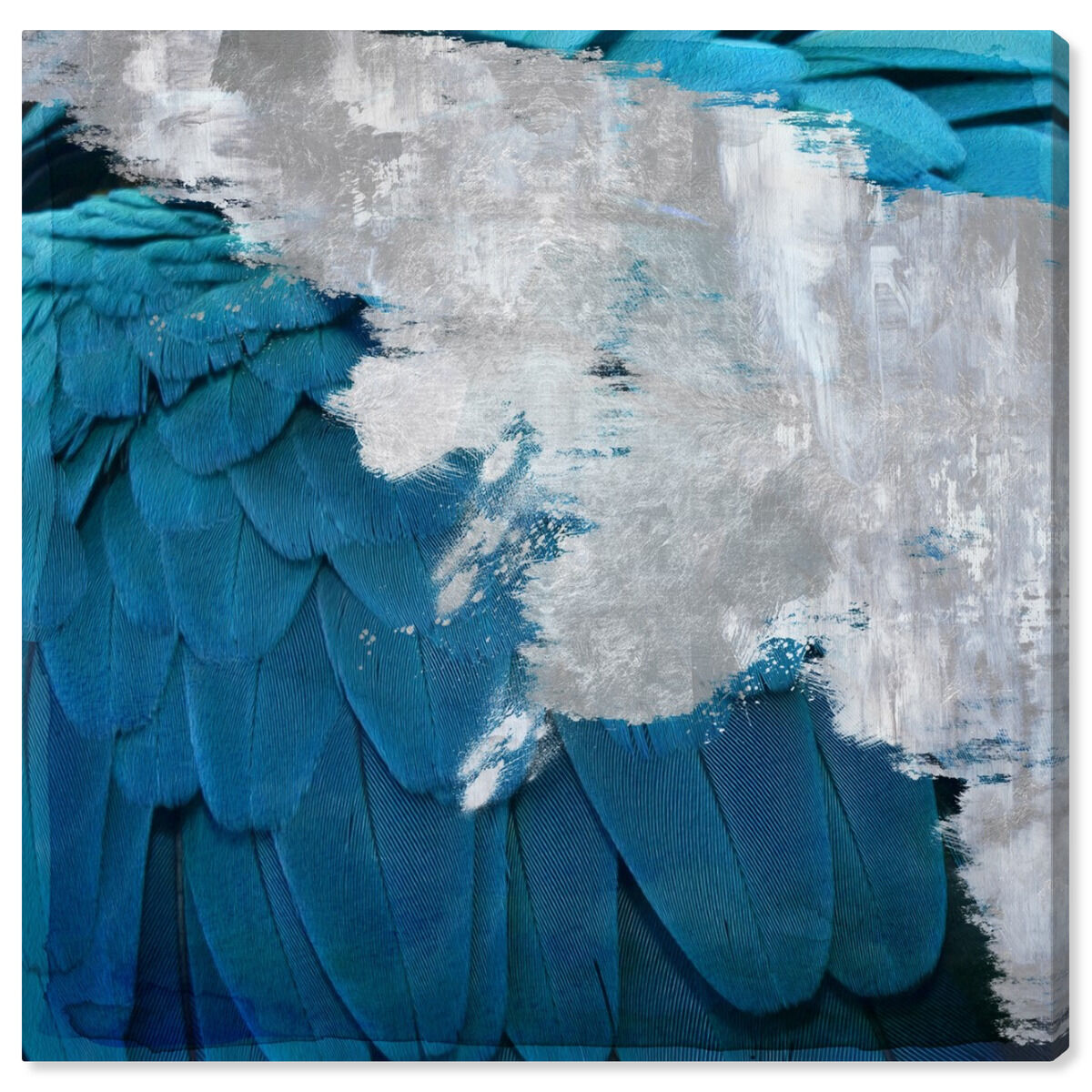 40x40/Canvas/XHD