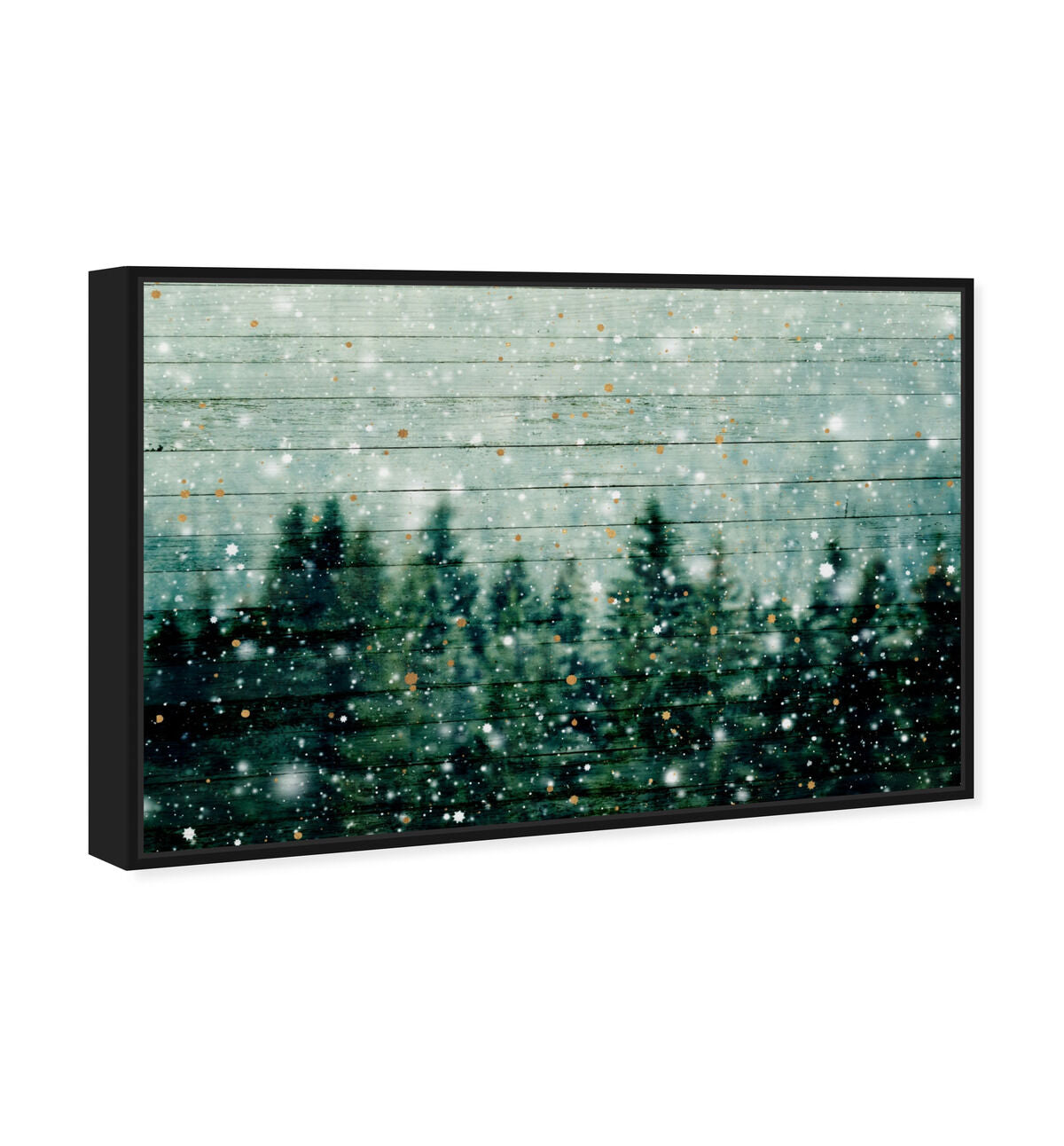54x36/Canvas/BFL