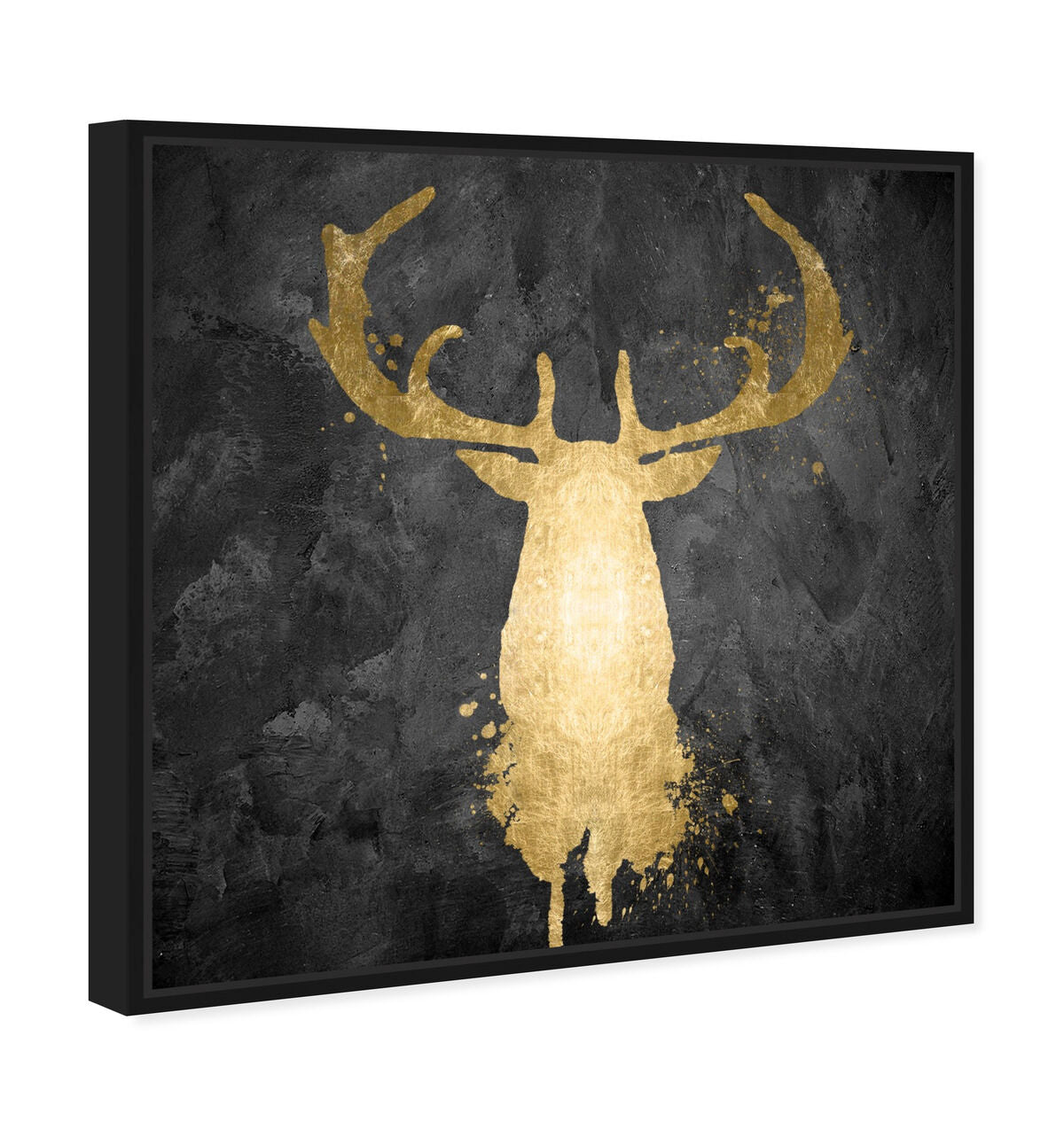 40x40/Canvas/BFL