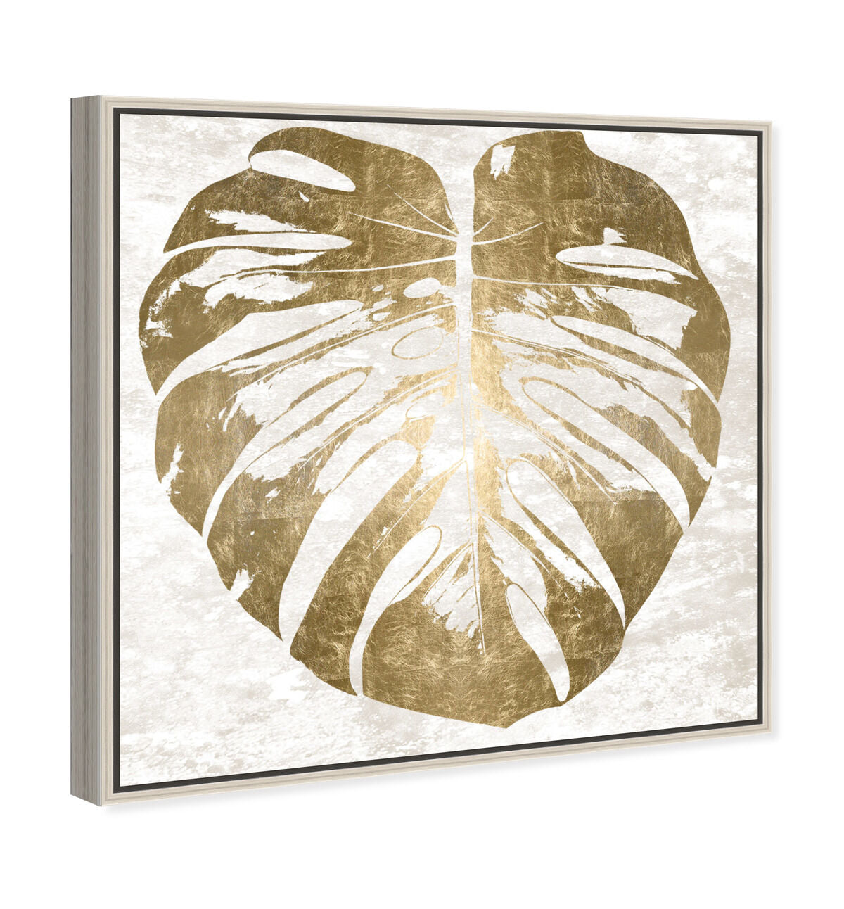 40x40/Framed Canvas/CFL