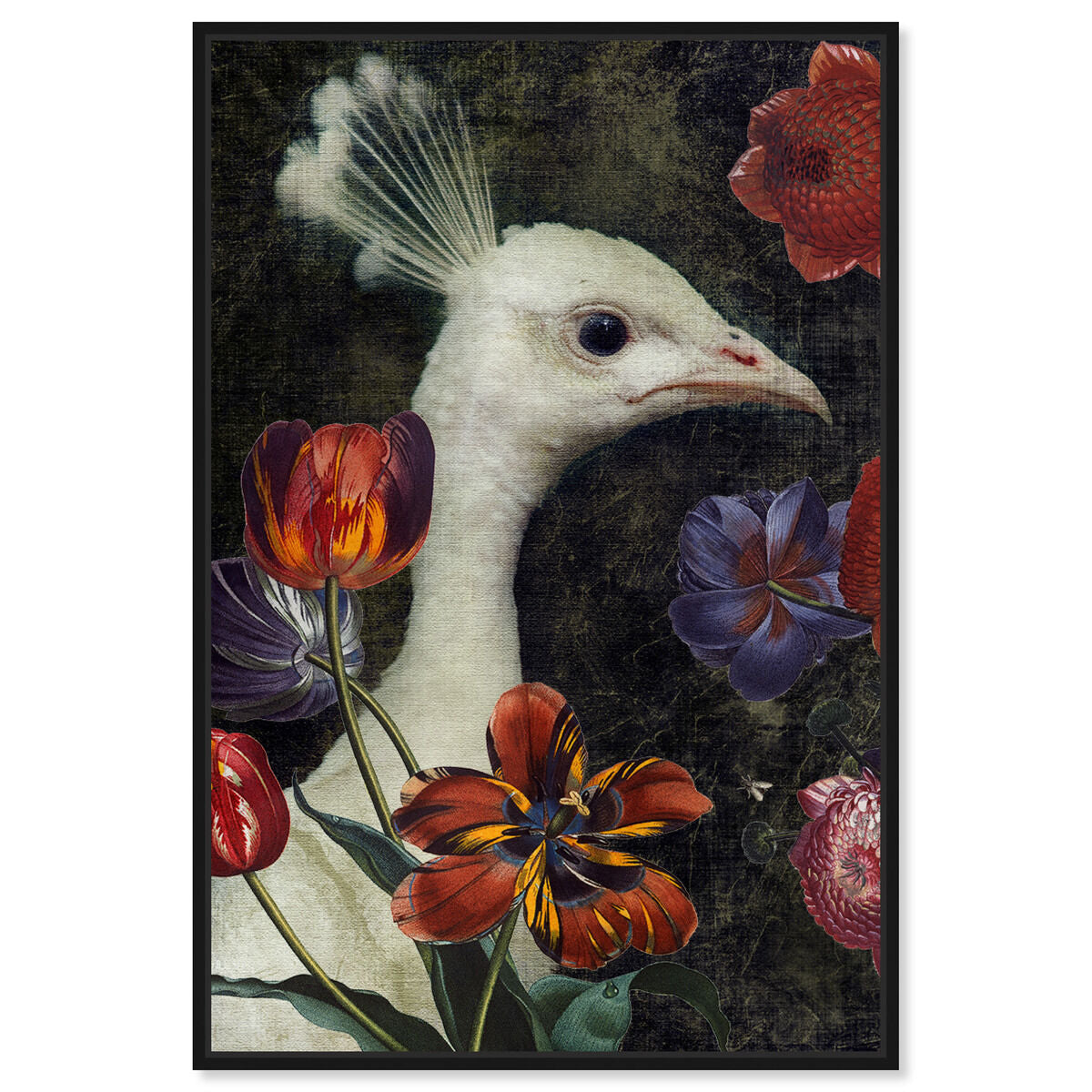 36x54/Framed Canvas/BFL