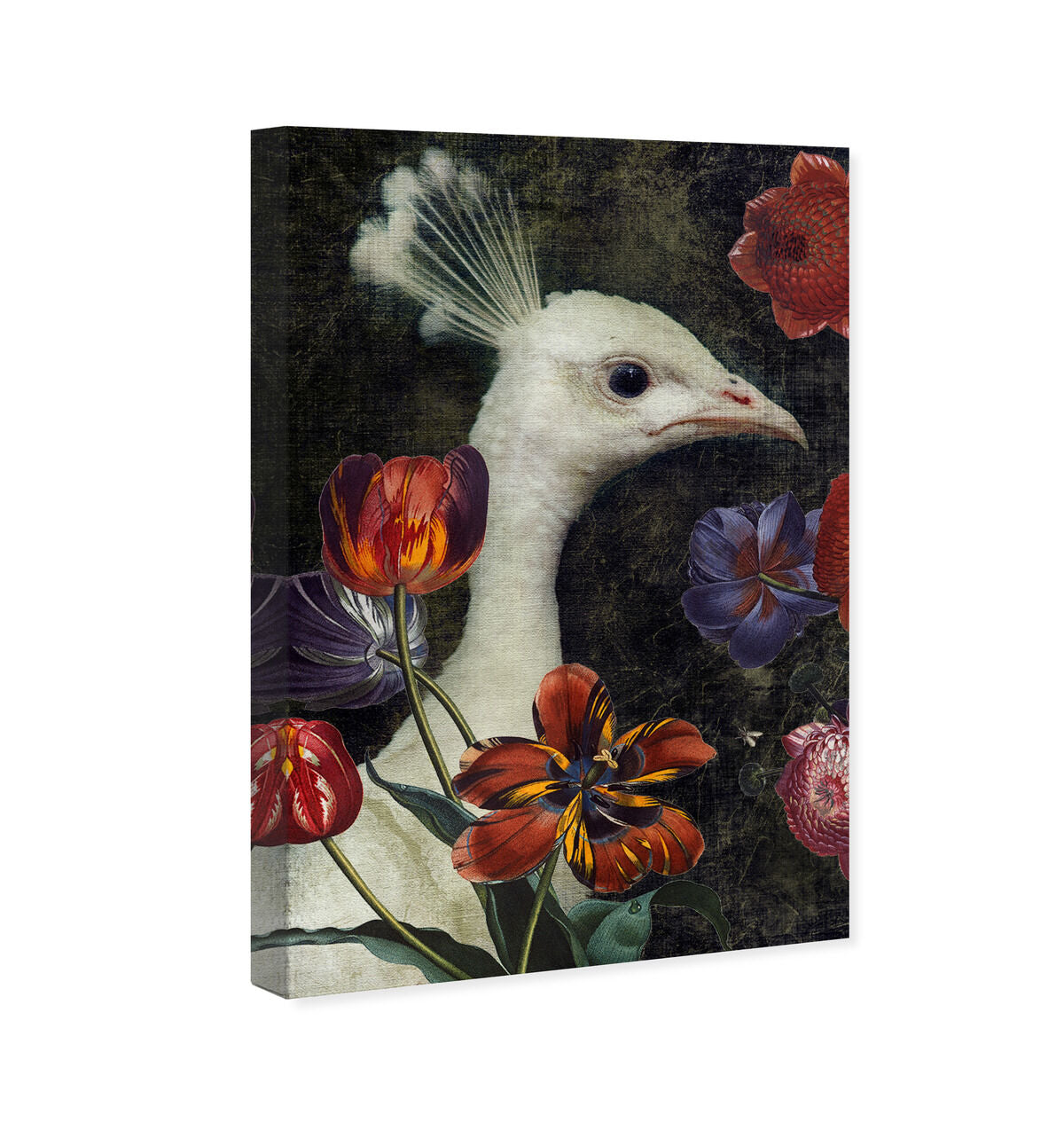 36x54/Canvas/XHD