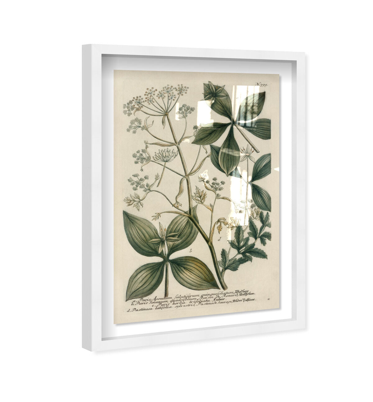 36x54/Shadowbox/SBW
