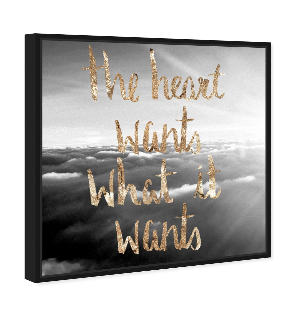 40x40/Framed Canvas/BFL