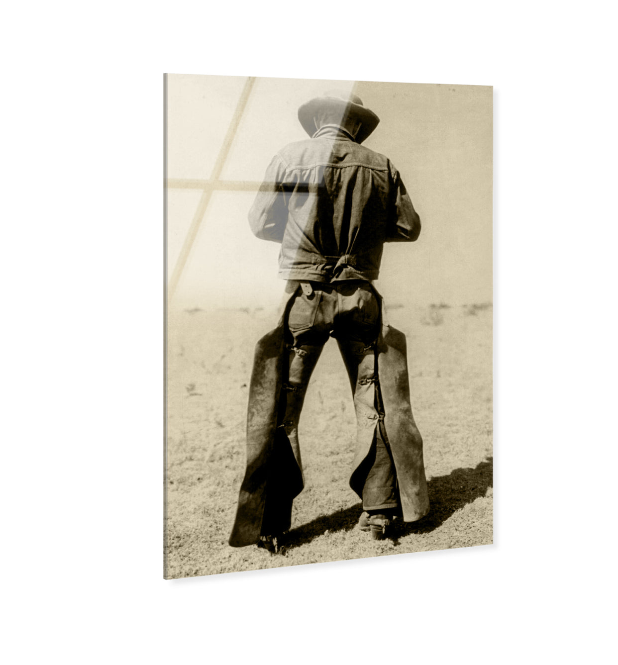 36x54/Acrylic/Unframed