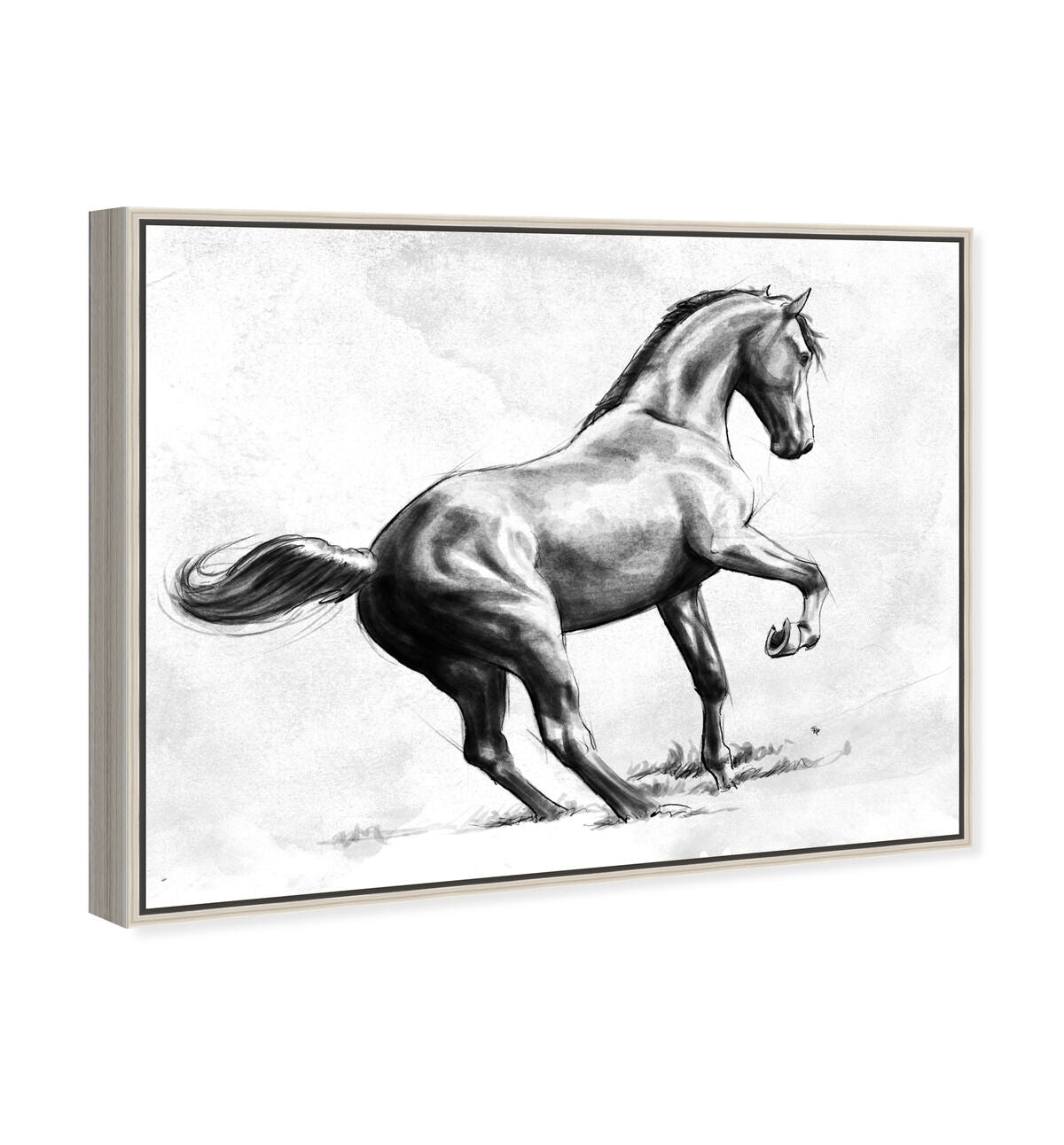 45x36/Framed Canvas/CFL