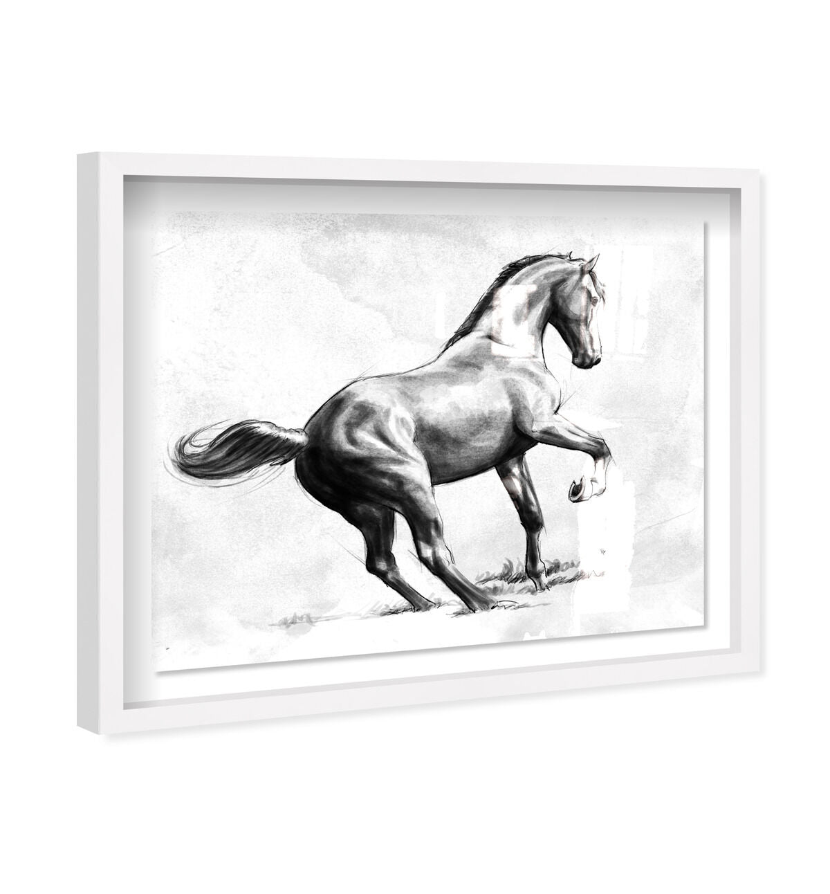 45x36/Shadowbox/SBW