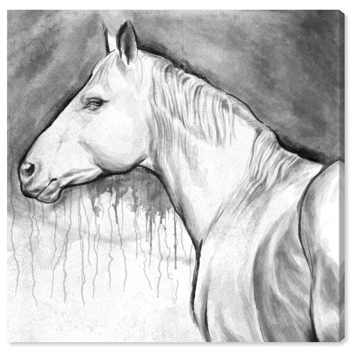 40x40/Canvas/XHD
