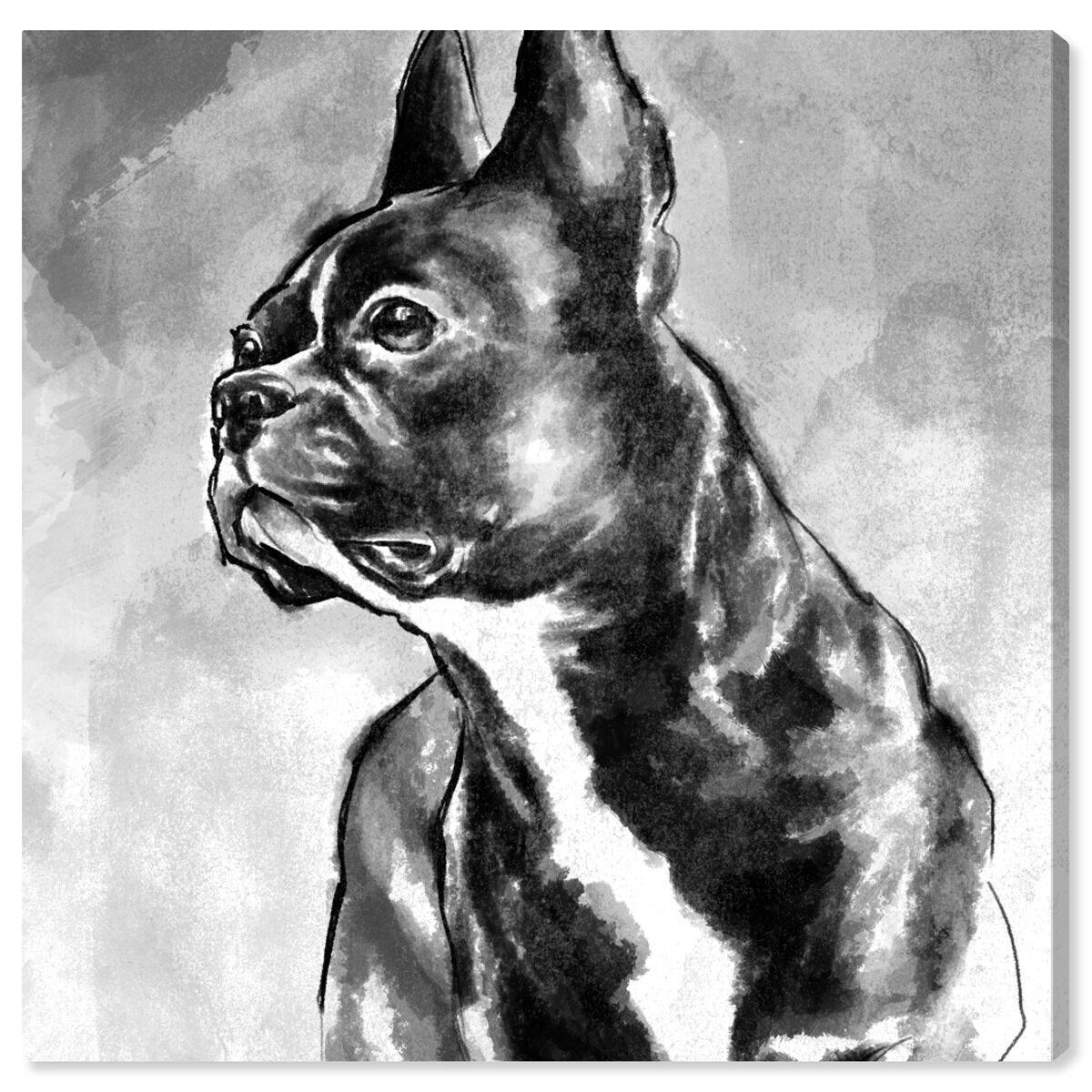 French Bulldog | Wall Art by Oliver Gal