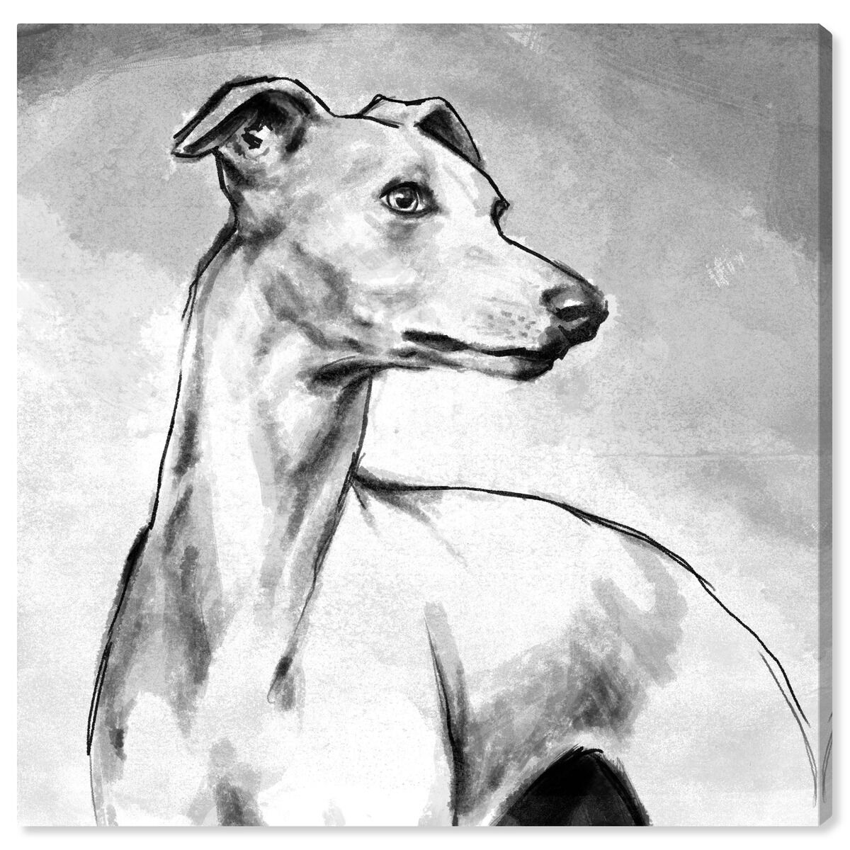 40x40/Canvas/XHD