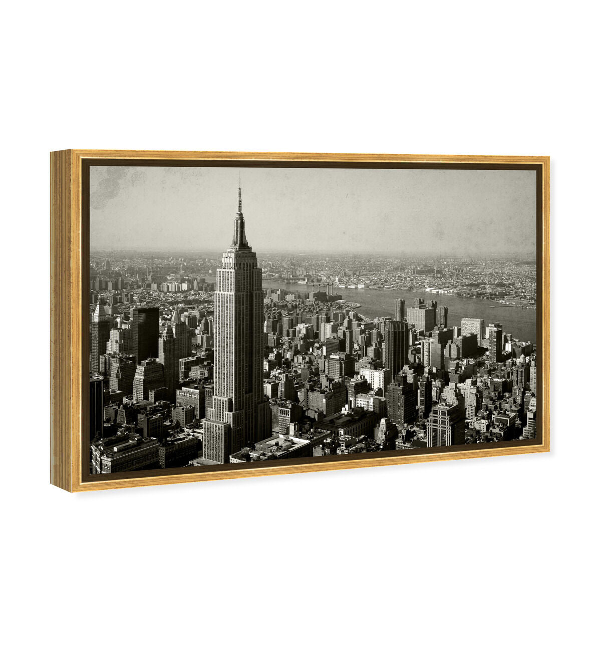 54x36/Framed Canvas/PSGLD