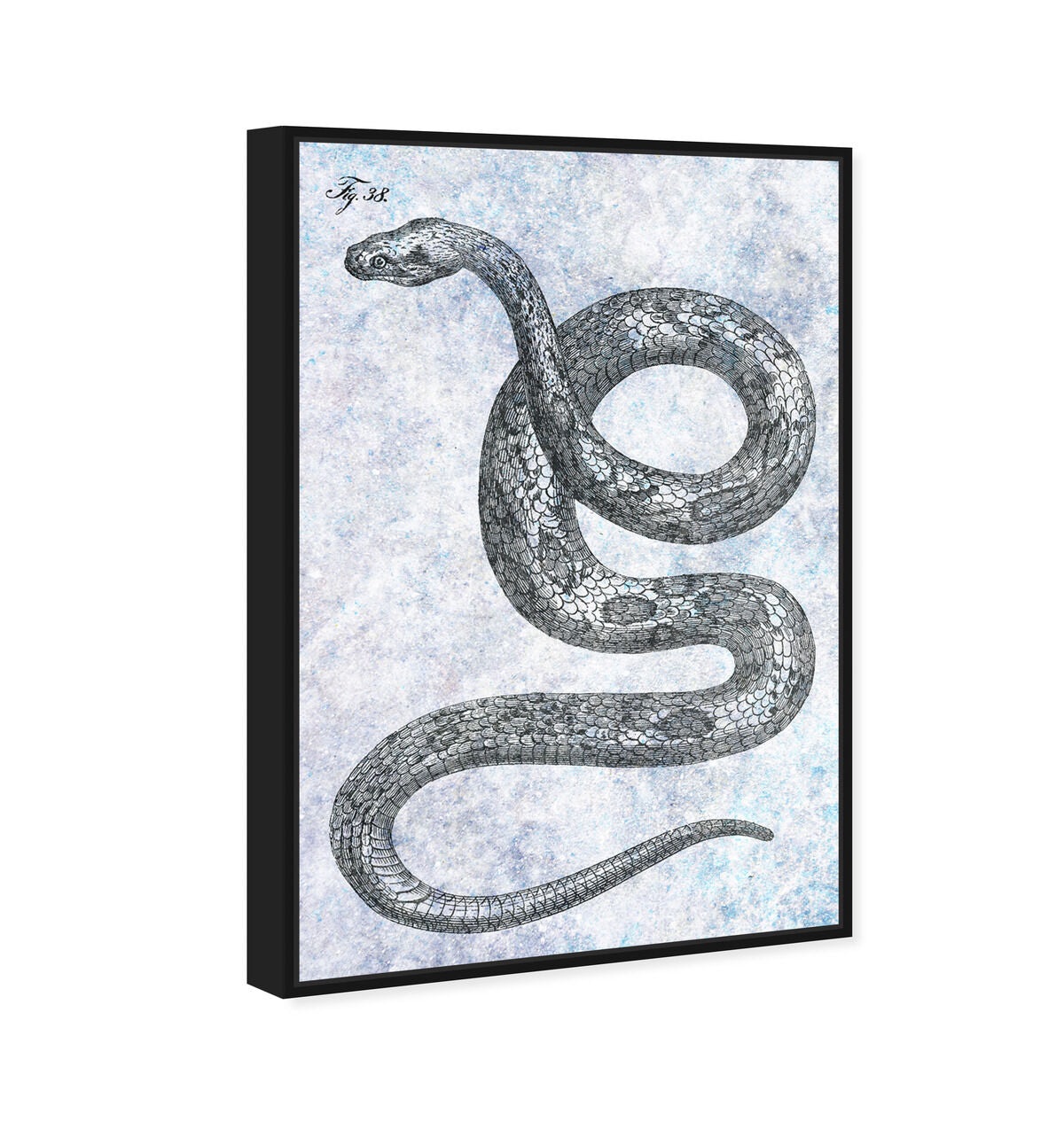 36x54/Framed Canvas/BFL