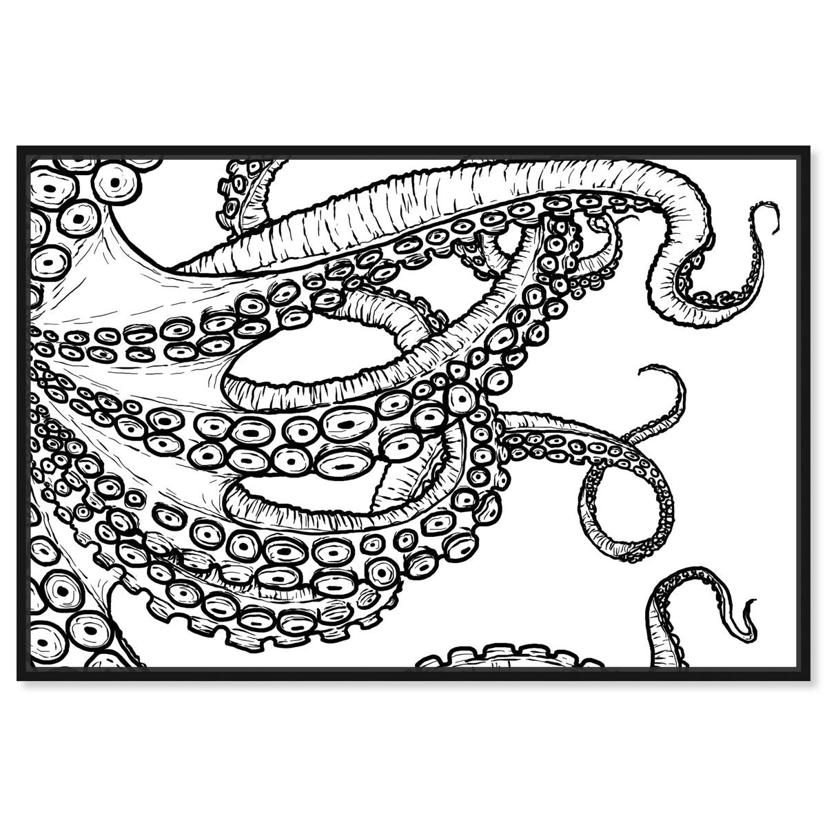 54x36/Canvas/BFL