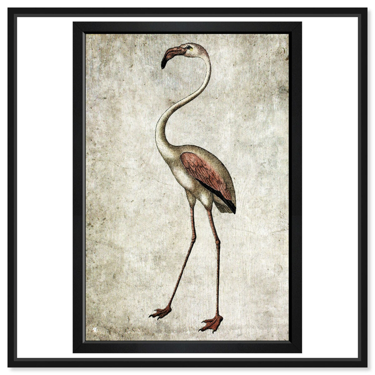 36x54/Framed Canvas/BFL