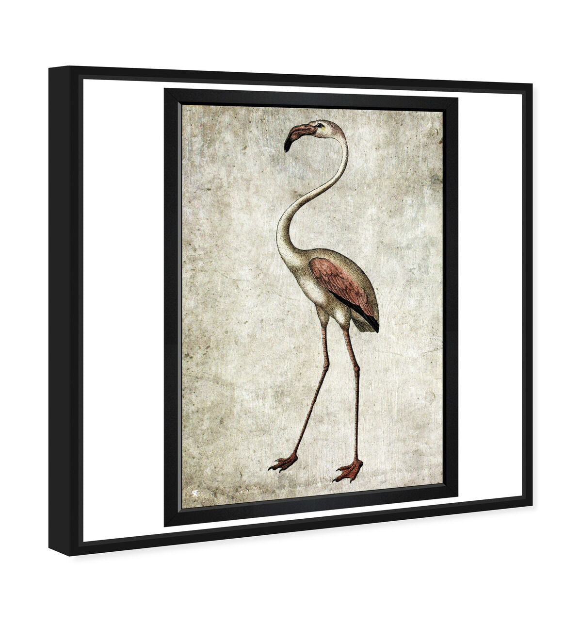 36x54/Framed Canvas/BFL