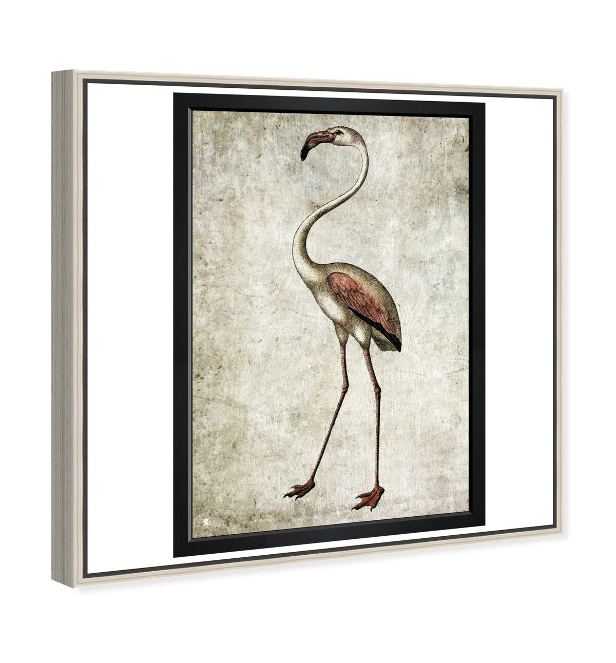36x54/Framed Canvas/CFL