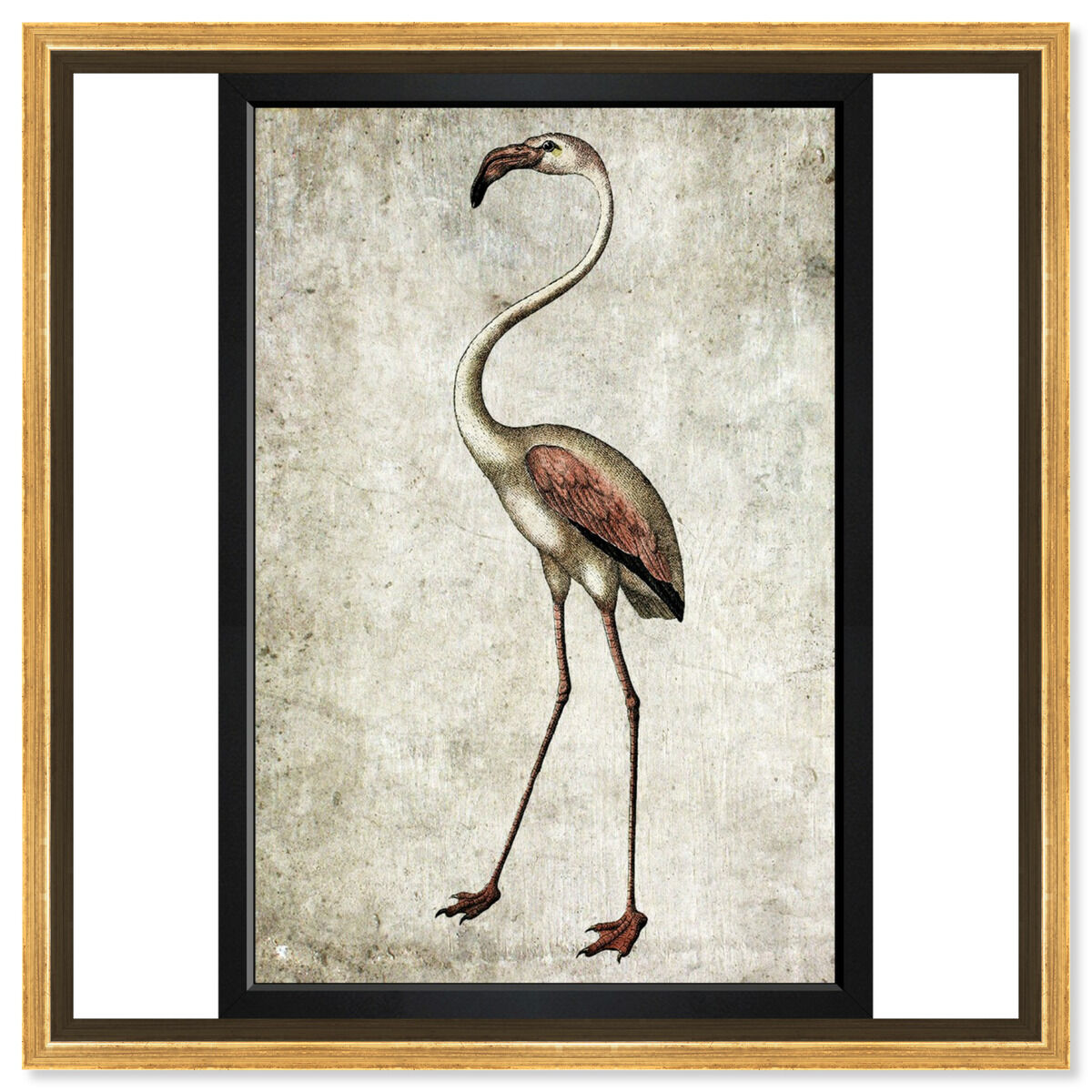 36x54/Framed Canvas/PSGLD