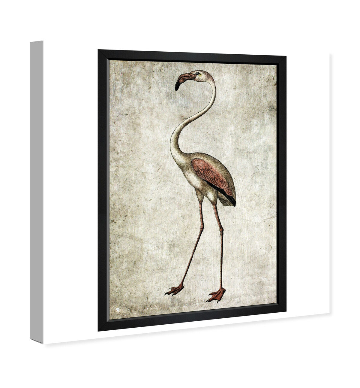 36x54/Canvas/XHD