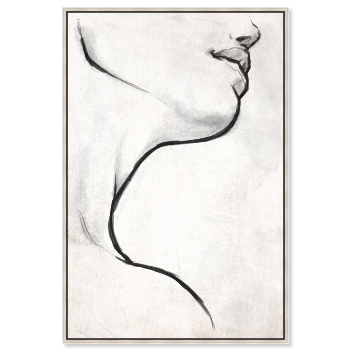 36x54/Canvas/CFL