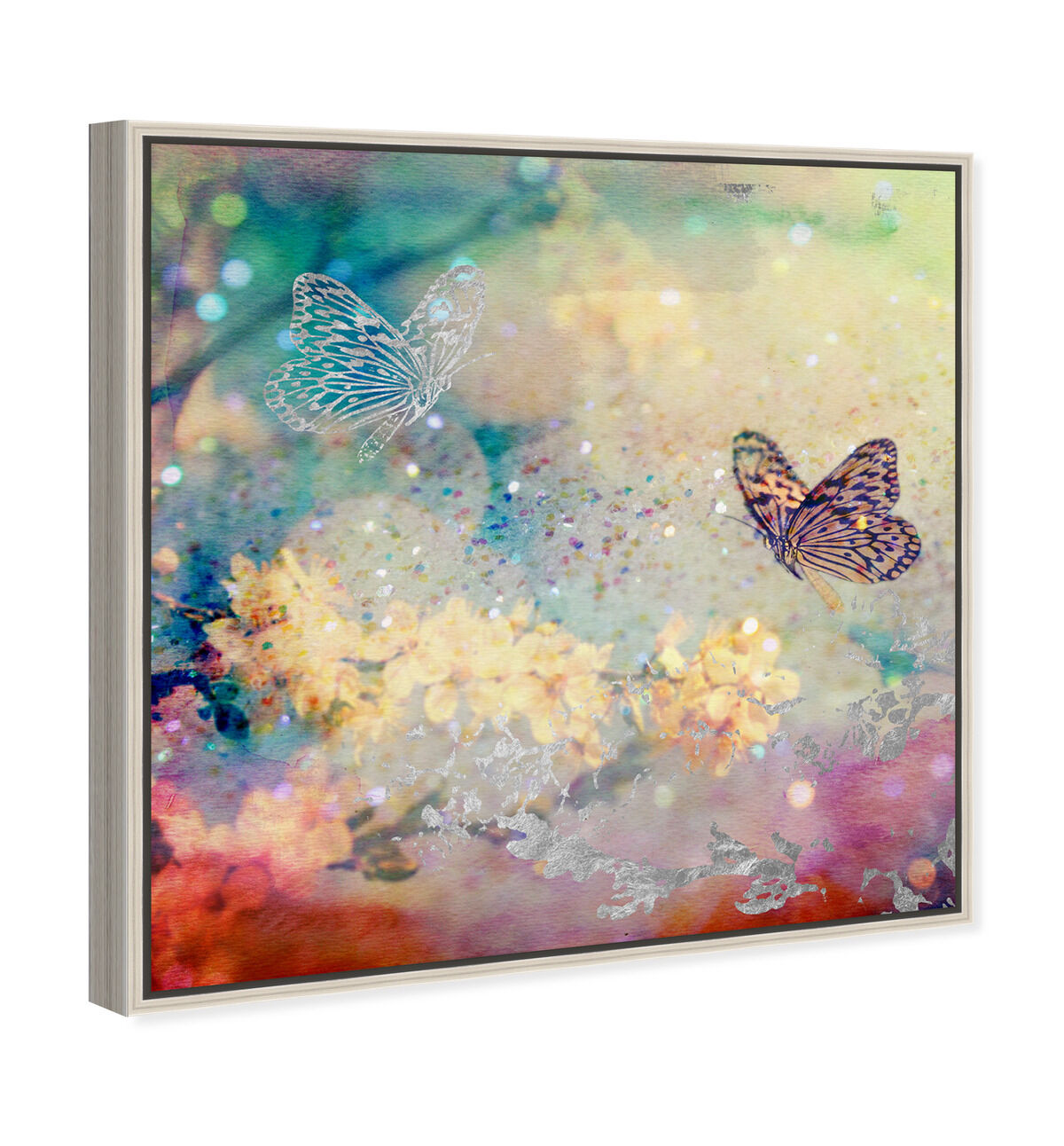 40x40/Framed Canvas/CFL