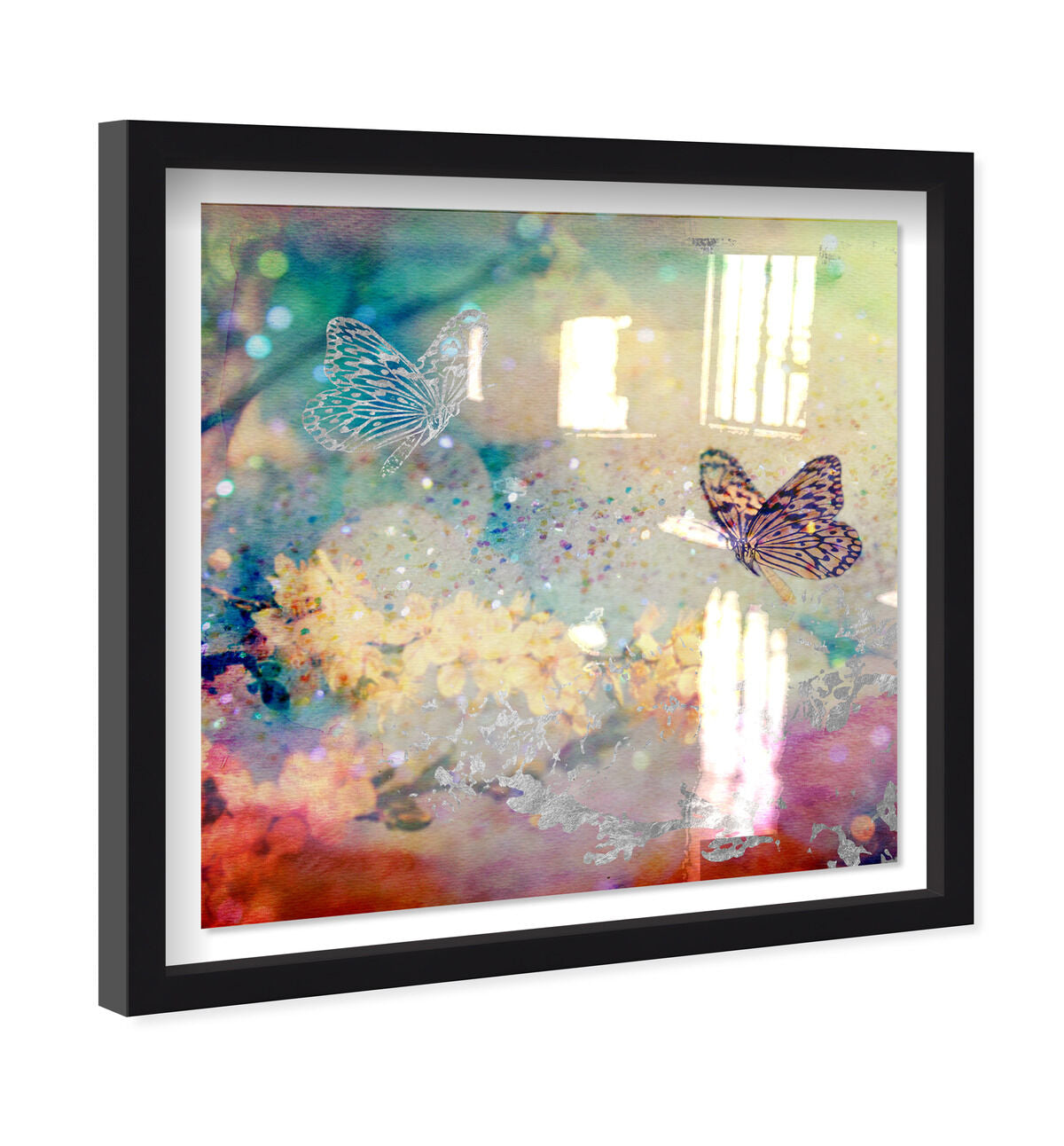 40x40/Shadowbox/SBB