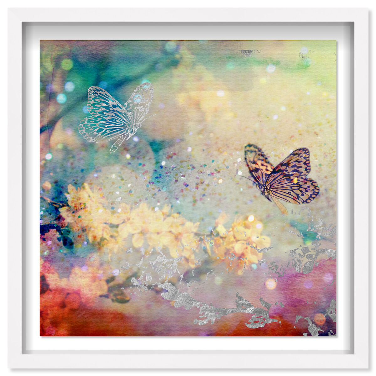 40x40/Shadowbox/SBW