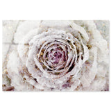 Winter New York Flower