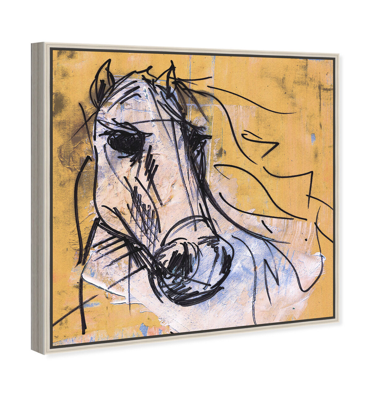 40x40/Canvas/CFL