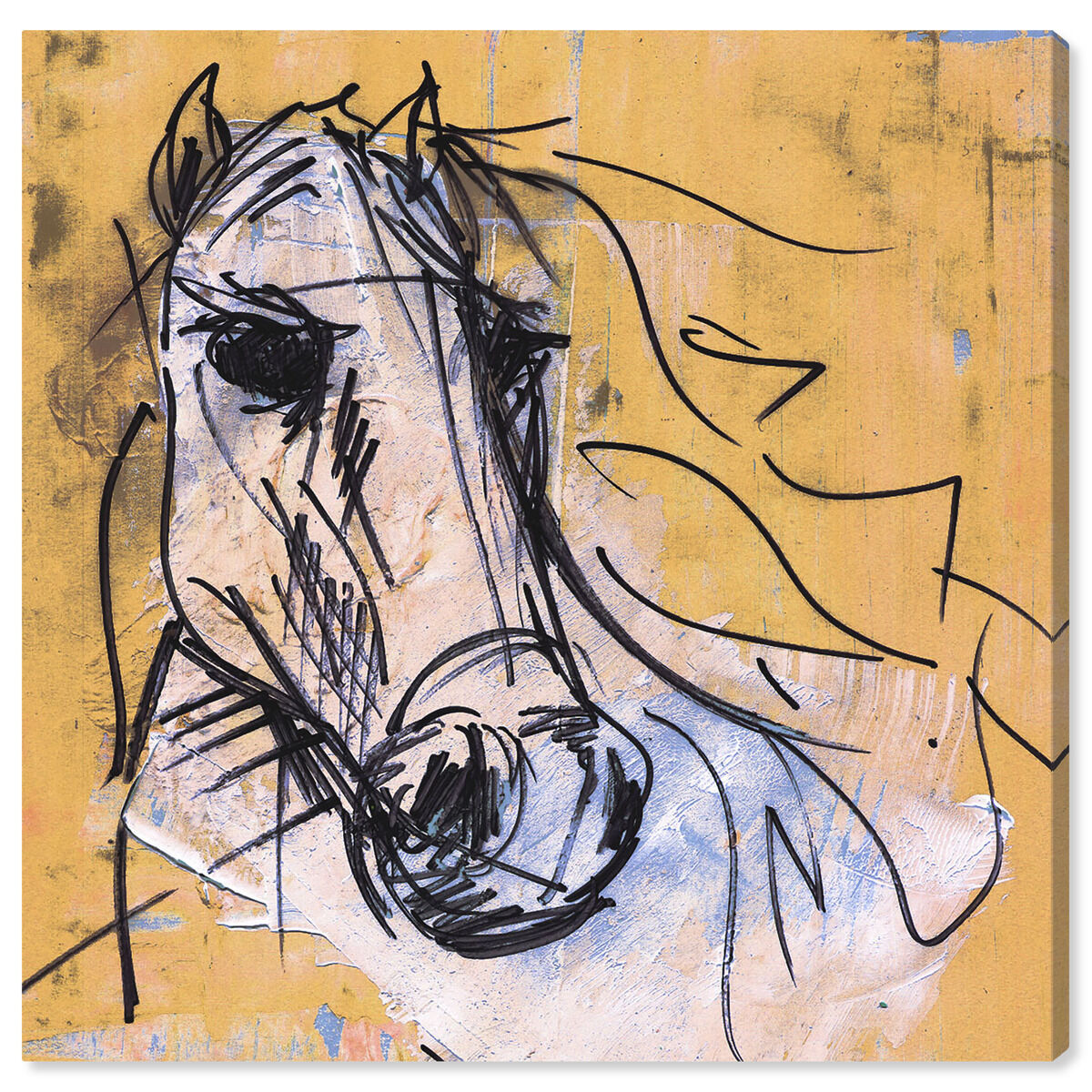 40x40/Canvas/XHD