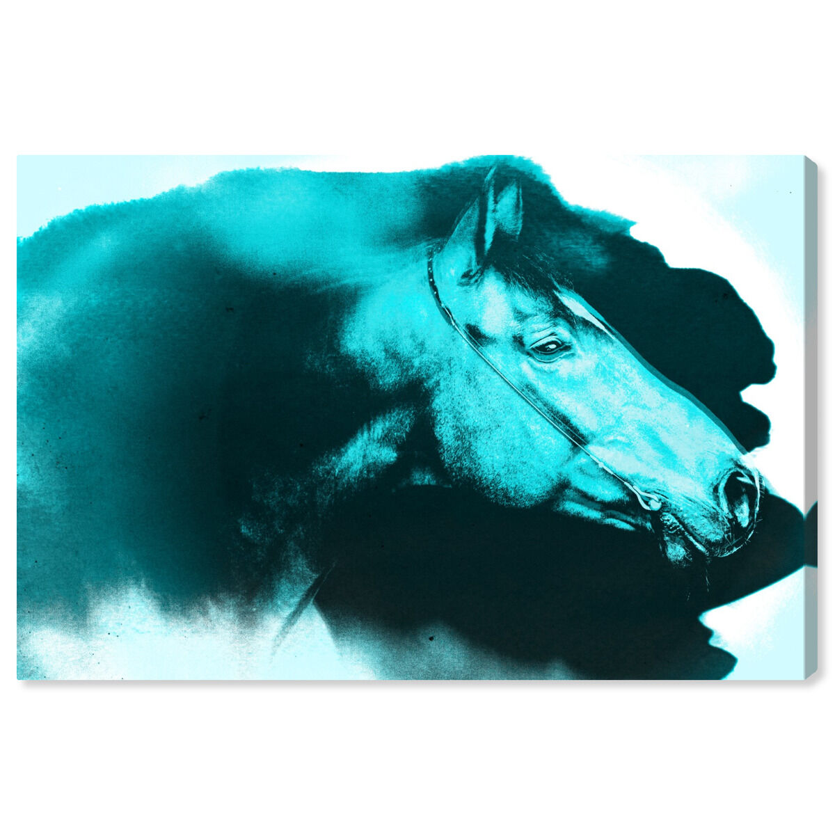 54x36/Canvas/XHD