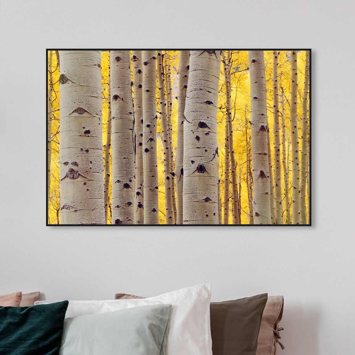 54x36/Canvas/BFL