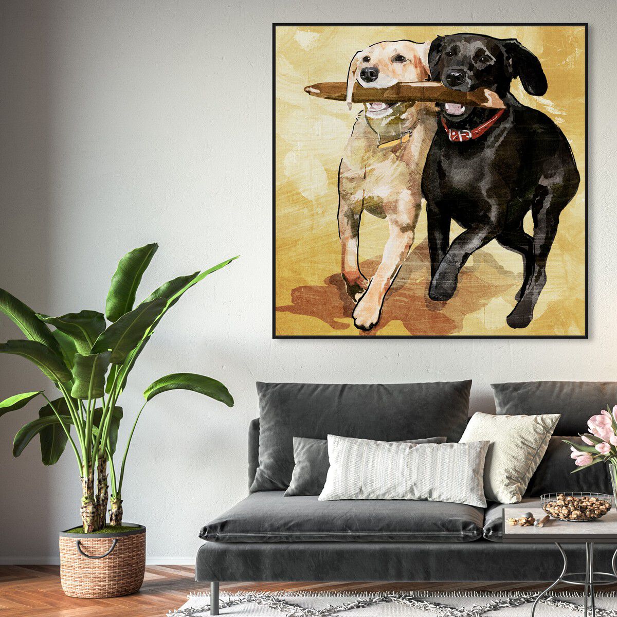 40x40/Framed Canvas/BFL