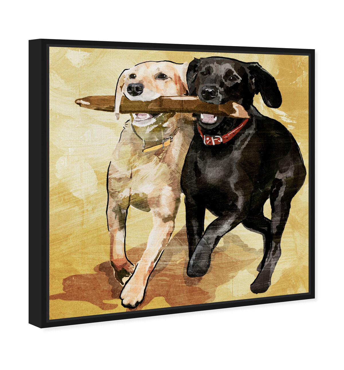 40x40/Framed Canvas/BFL