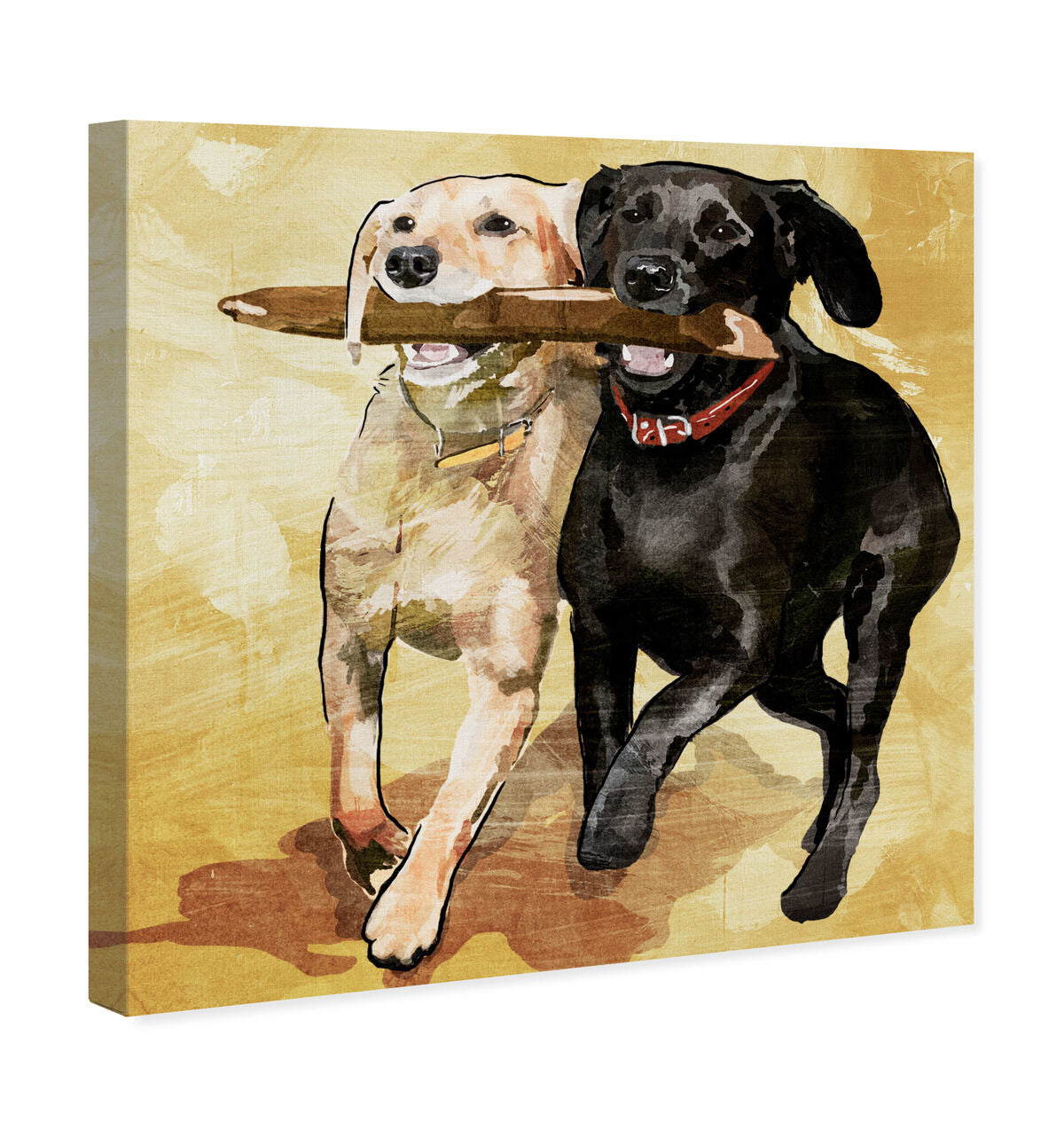 40x40/Canvas/XHD