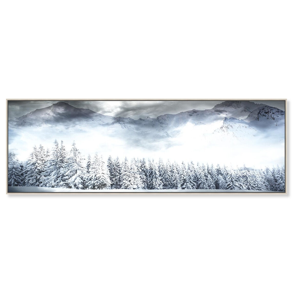 54x20/Canvas/CFL
