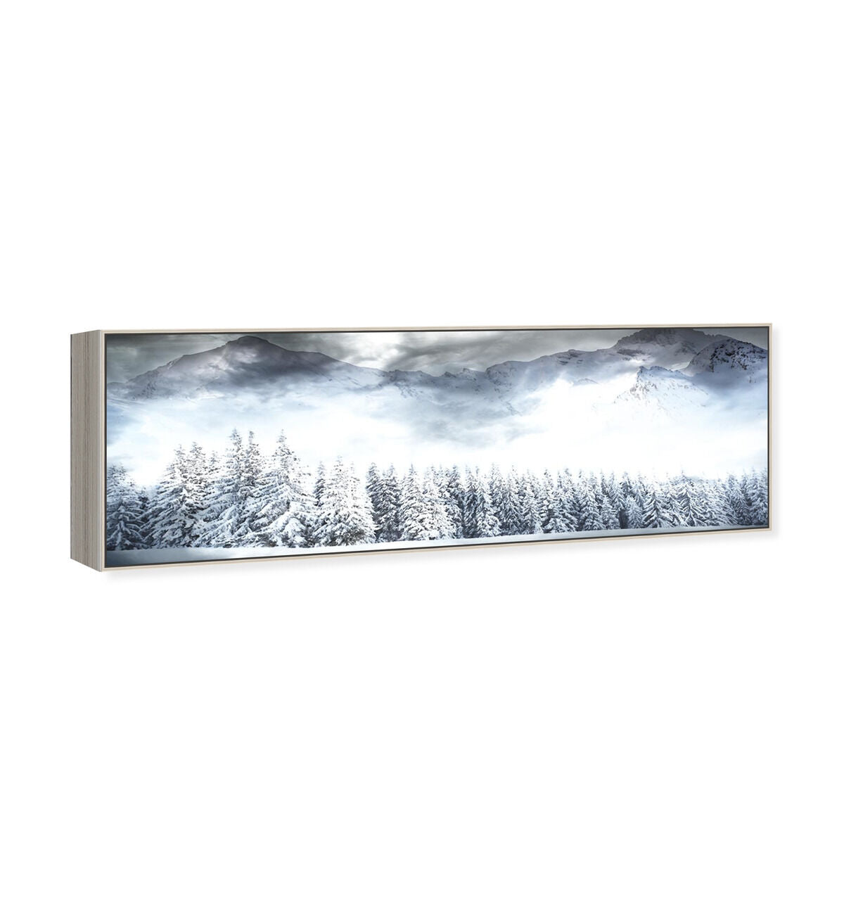 54x20/Canvas/CFL