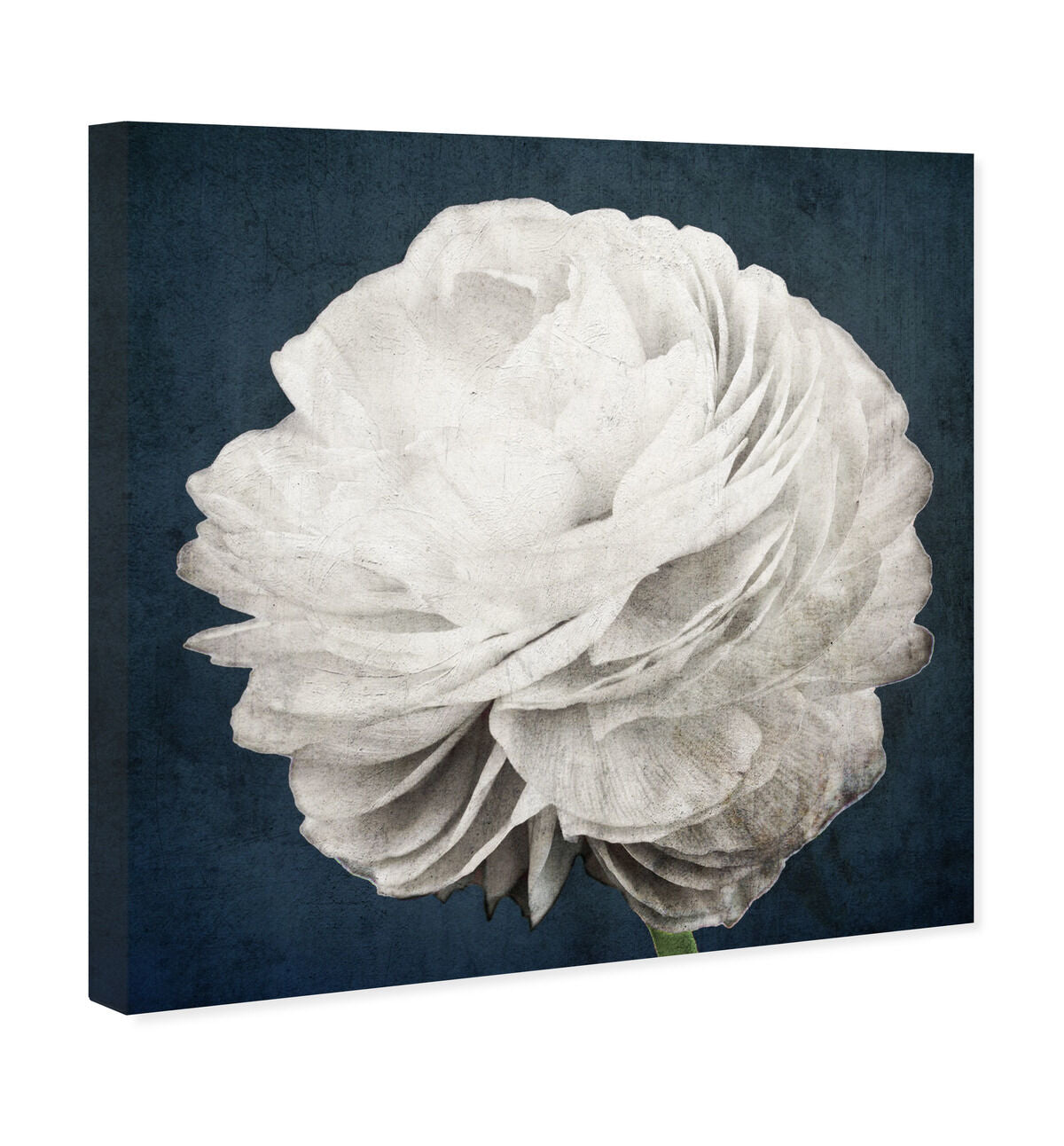 40x40/Canvas/XHD