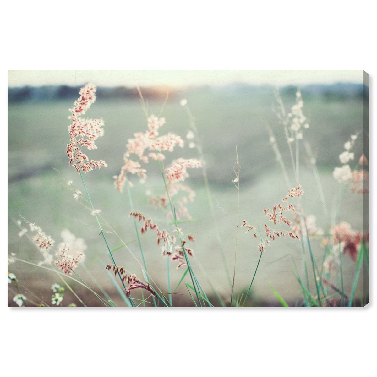 54x36/Canvas/XHD