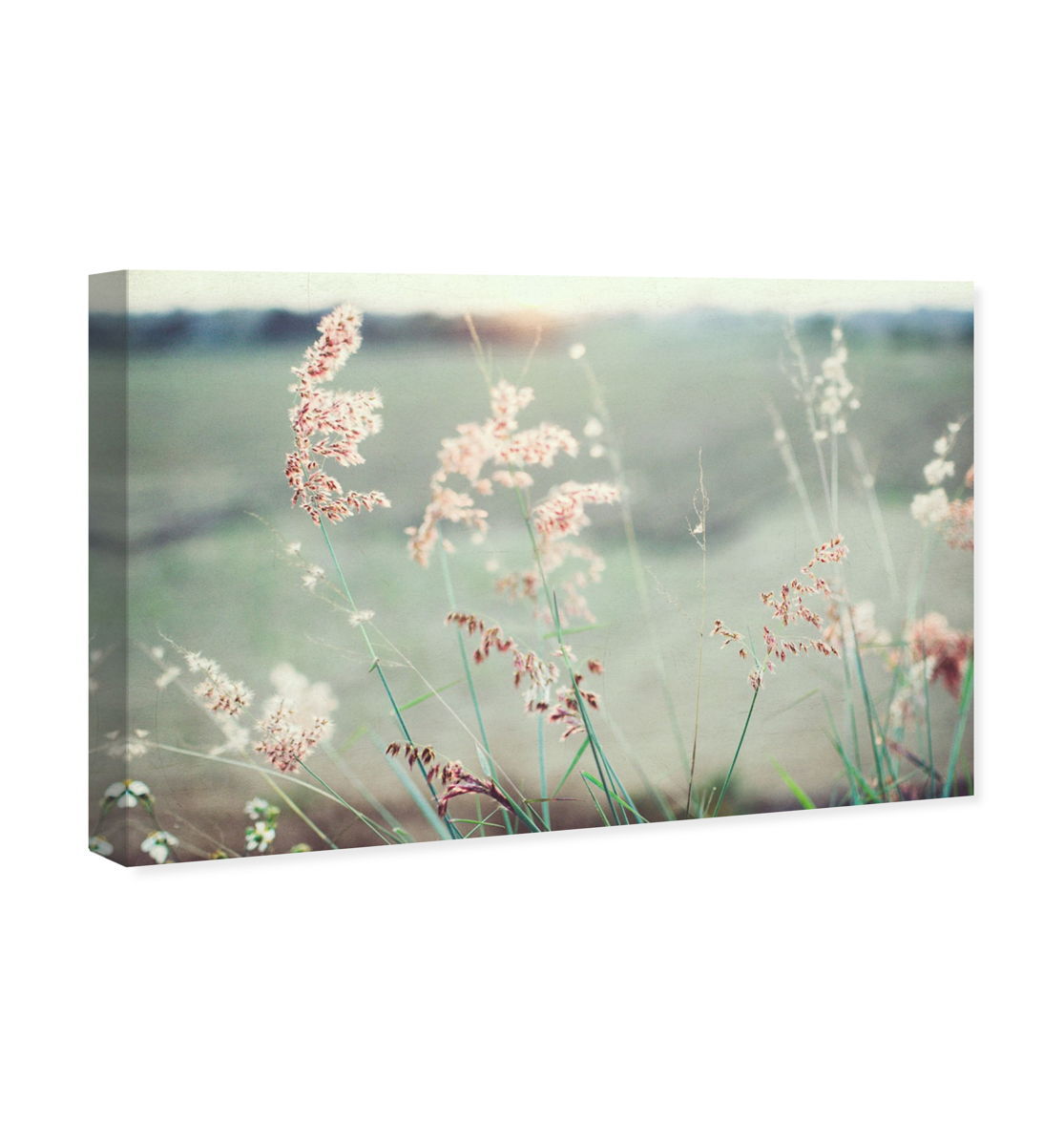 54x36/Canvas/XHD