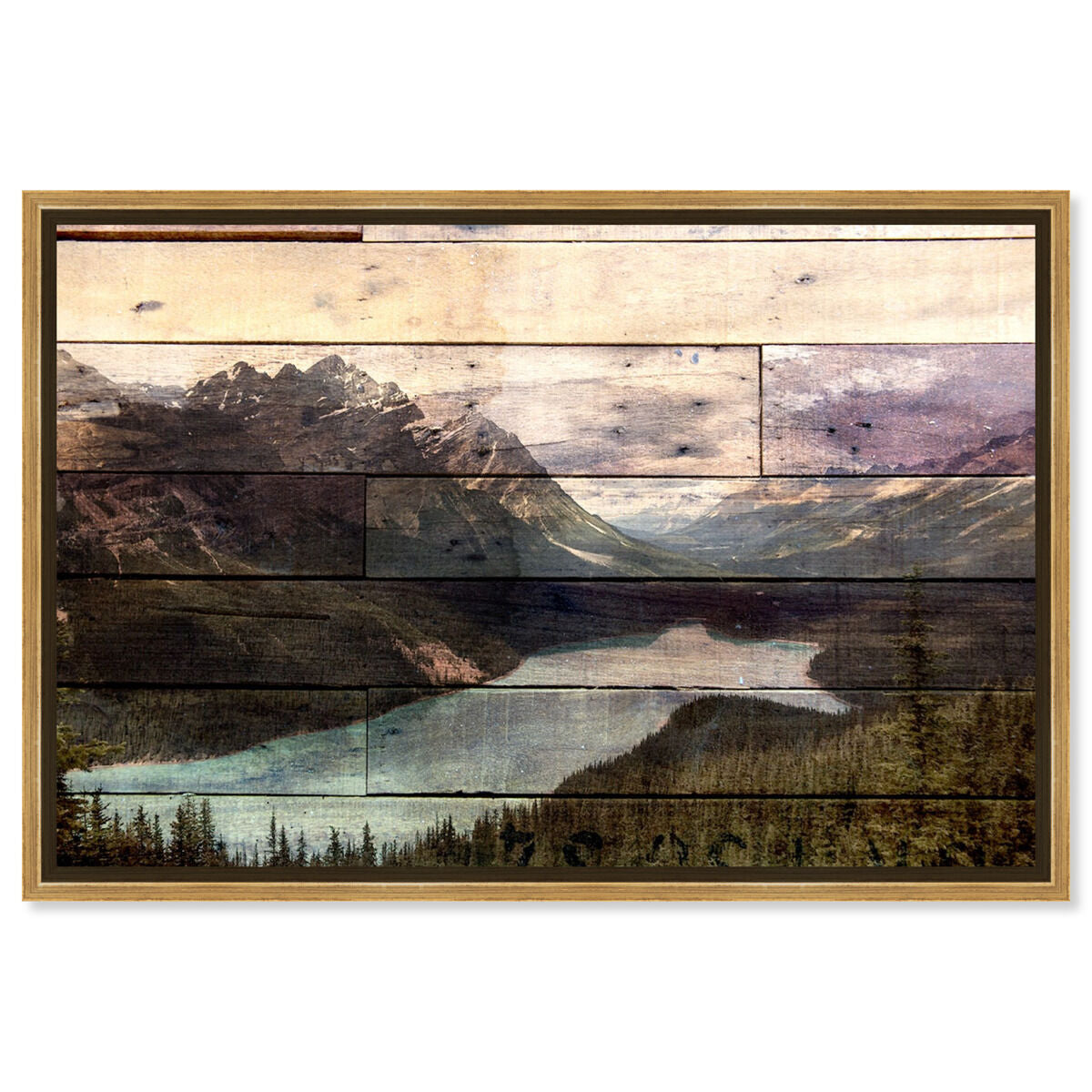 54x36/Framed Canvas/PSGLD