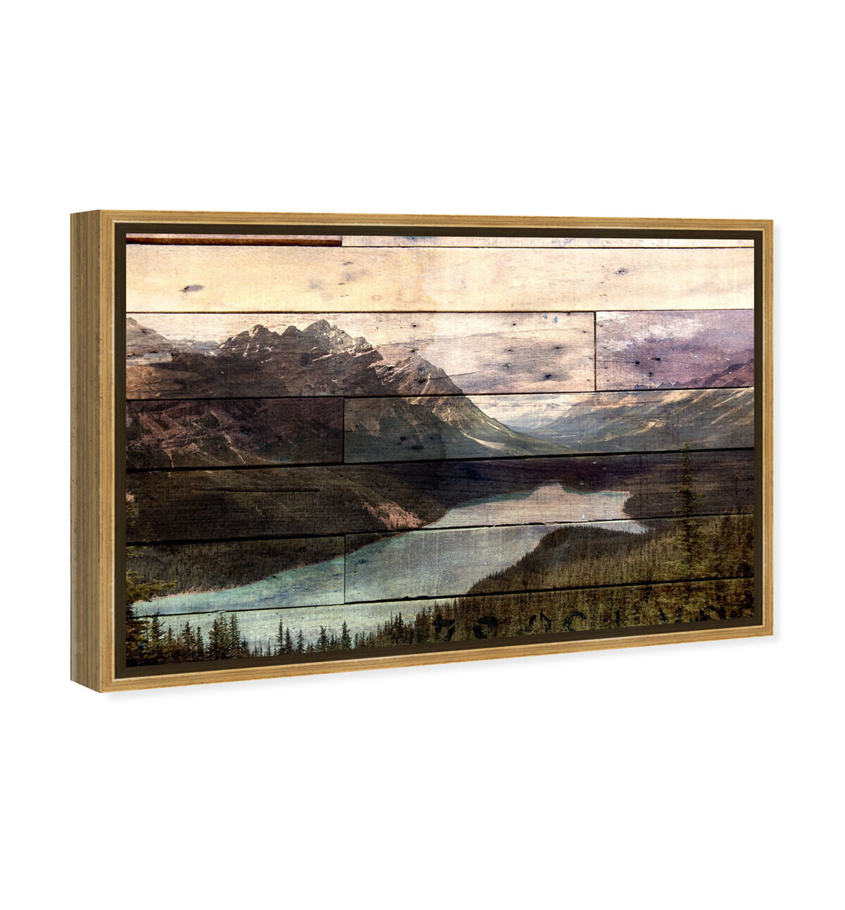 54x36/Framed Canvas/PSGLD