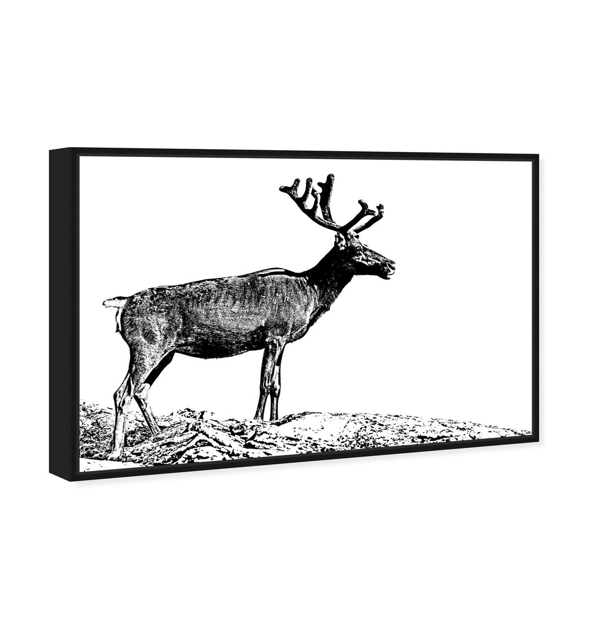54x36/Framed Canvas/BFL