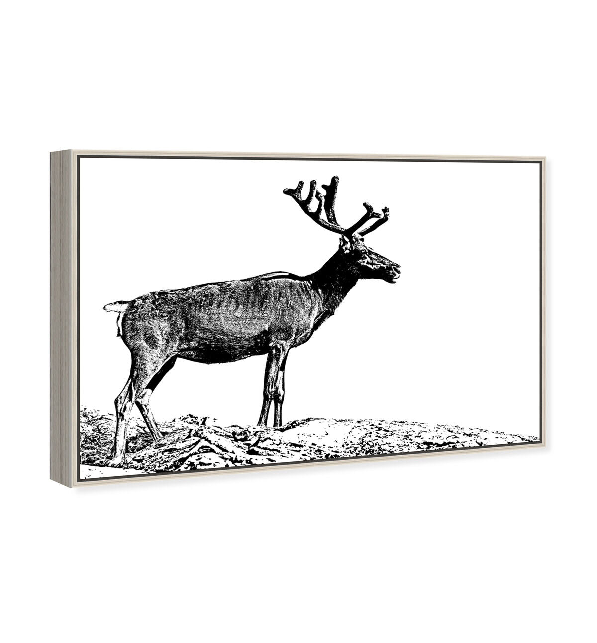 54x36/Framed Canvas/CFL