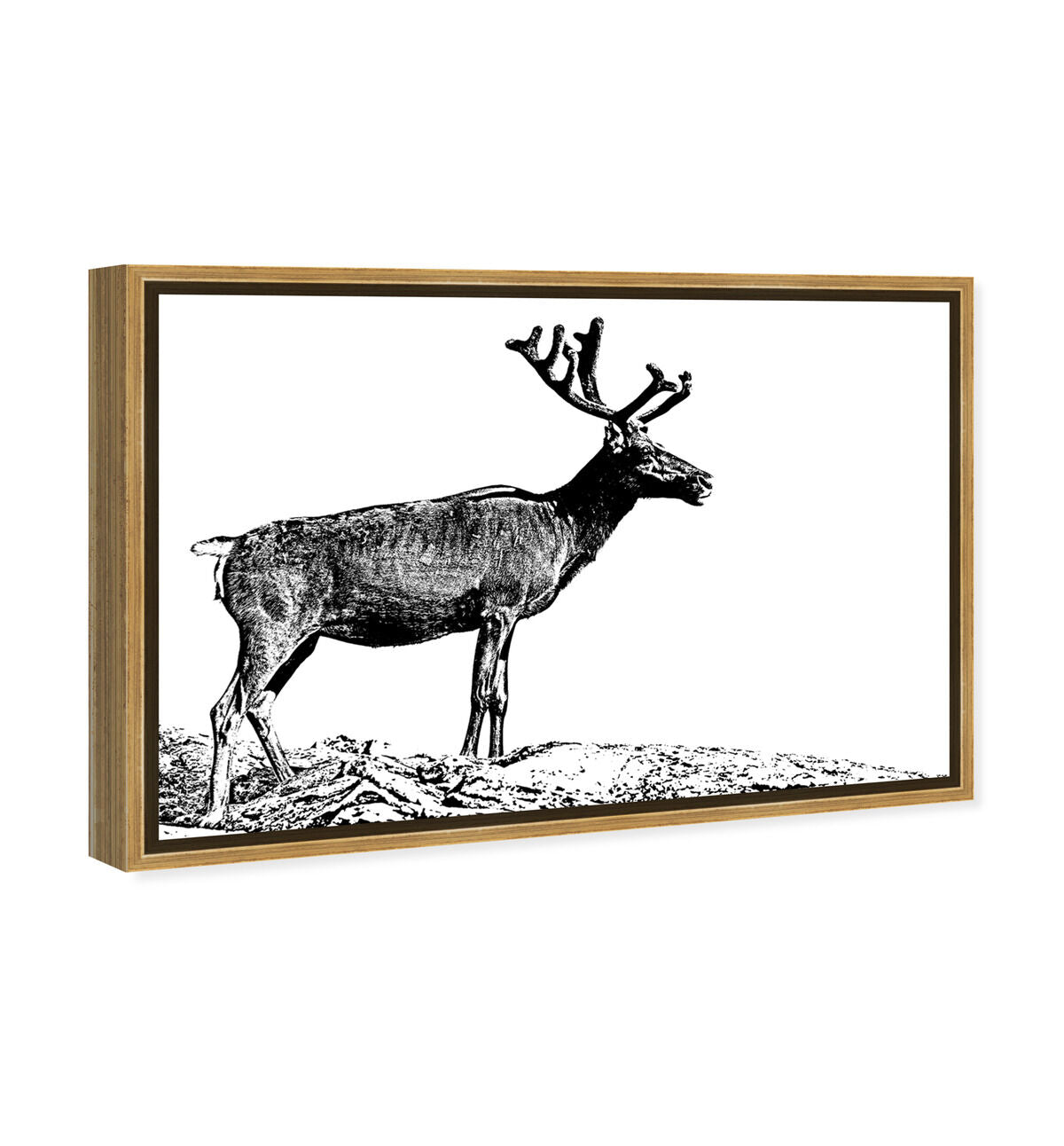 54x36/Framed Canvas/PSGLD