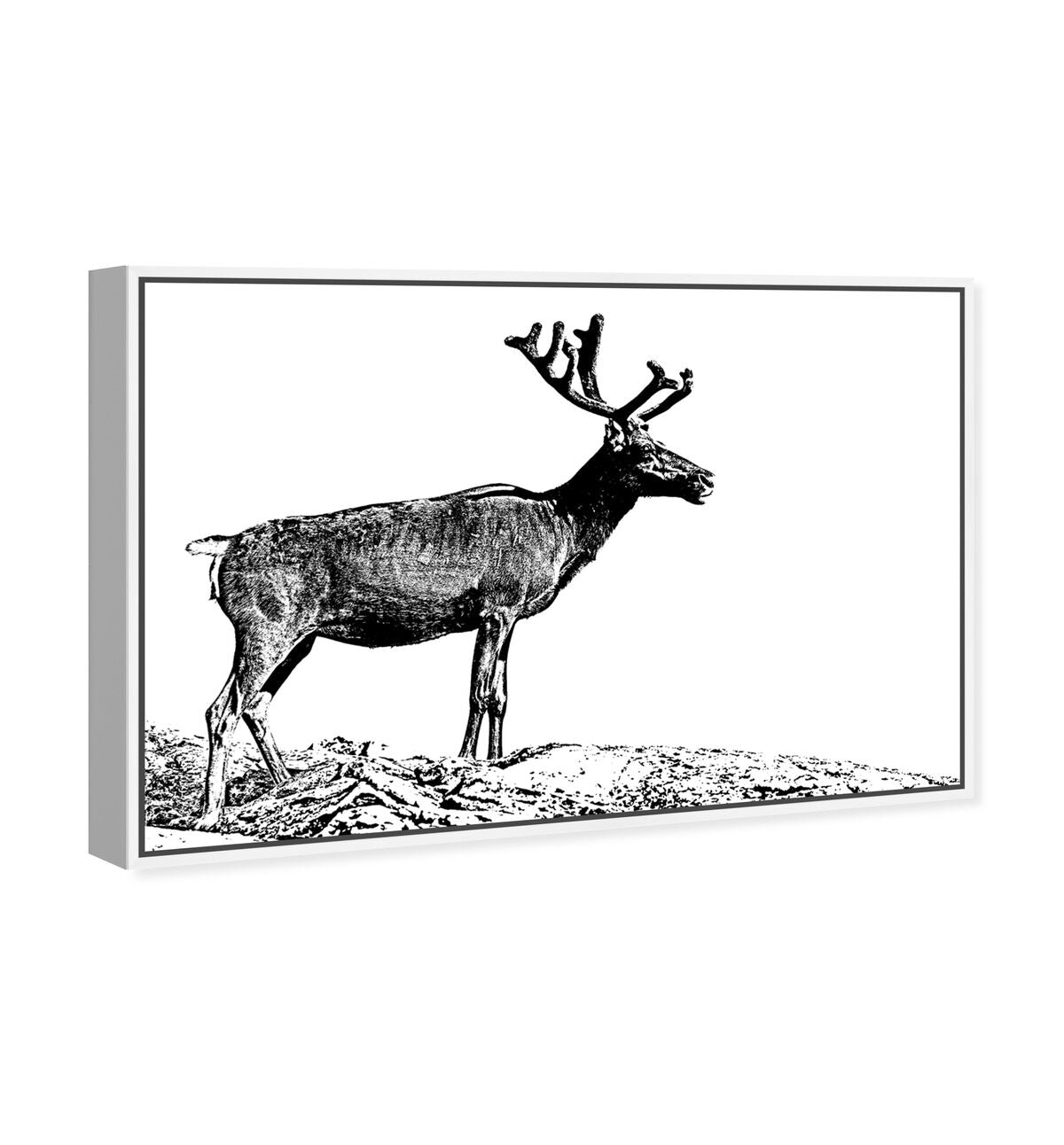 54x36/Framed Canvas/WFL