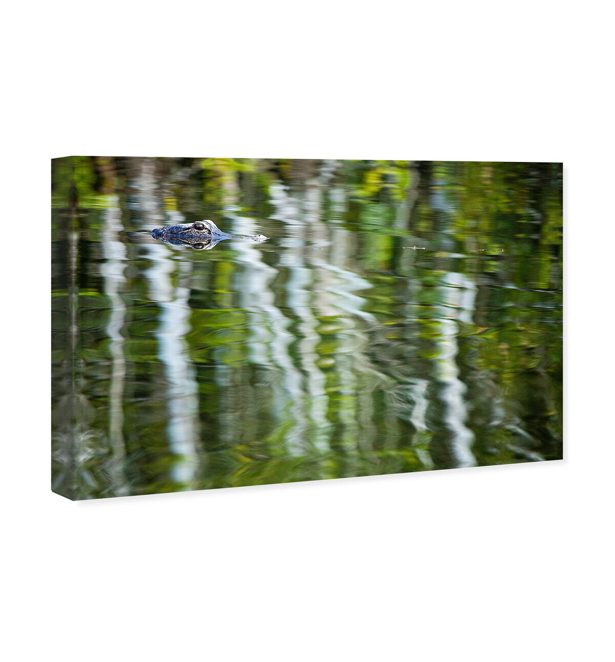 54x36/Canvas/XHD