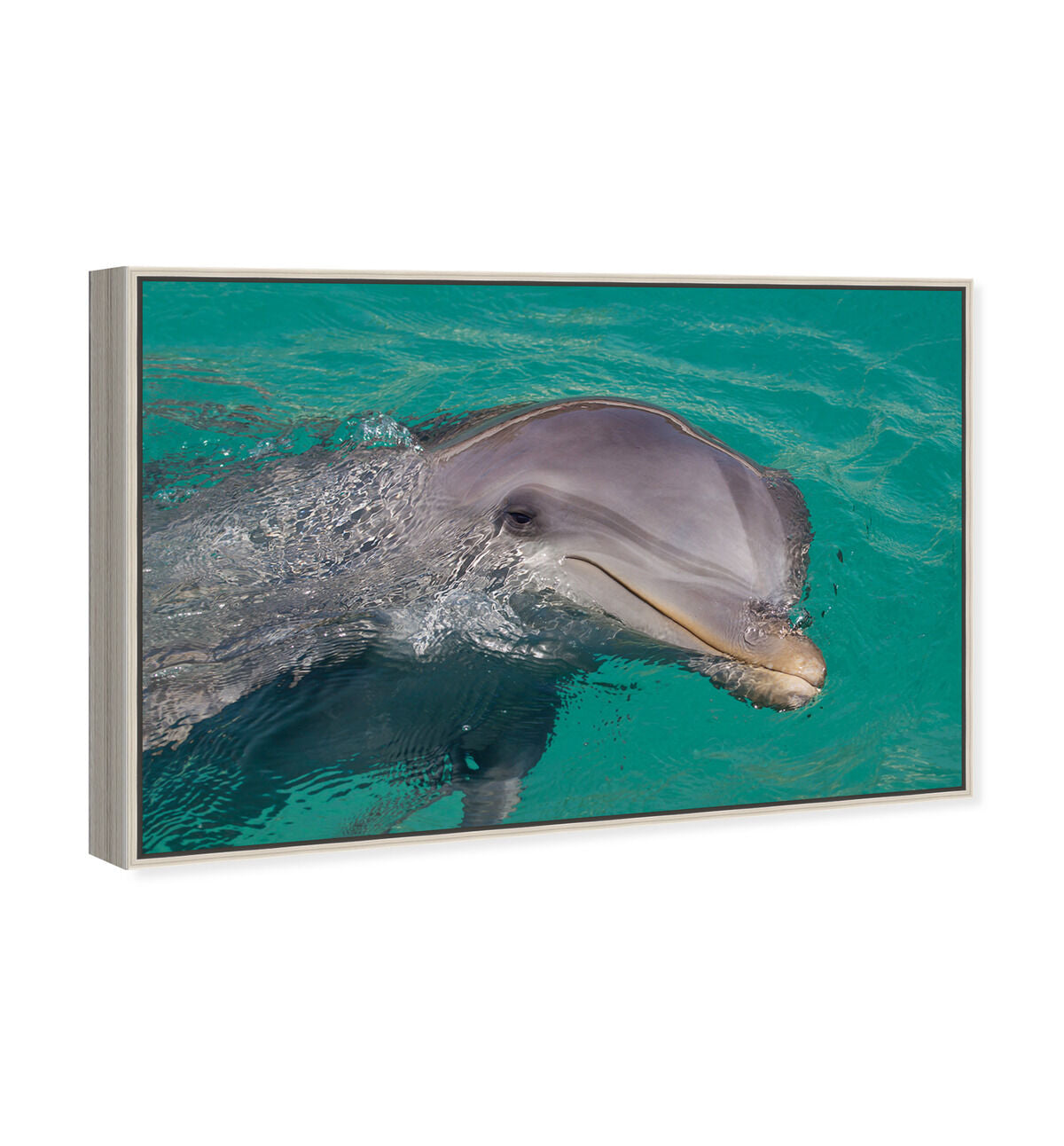 54x36/Framed Canvas/CFL