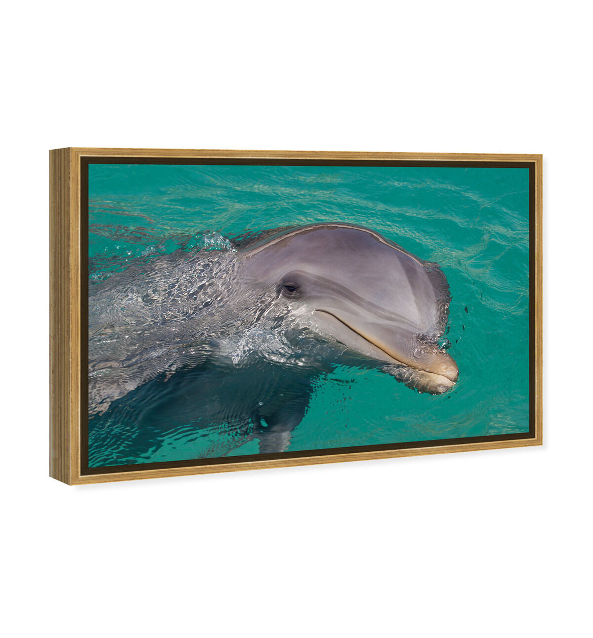 54x36/Framed Canvas/PSGLD